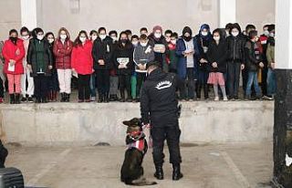 Öğrenciler, jandarma ile birlikte müzeyi gezdi