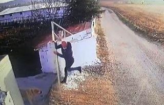 Öğretmene köpek saldırısı güvenlik kamerasında