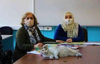 Okuma-yazma kursunun ‘Şans’lı kedisi