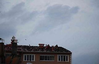 Oltu’da karga istilası