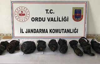 Ordu’da baz istasyonu, telefon ve elektrik kablo...