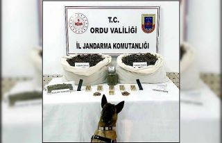 Ordu’da uyuşturucu operasyonu