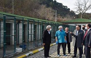 Örnek projeler hayata geçiriliyor