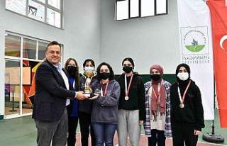 Osmangazi’de satranç coşkusu