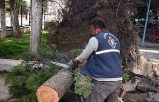 Osmaniye’de fırtına sonrası temizlik çalışmaları...