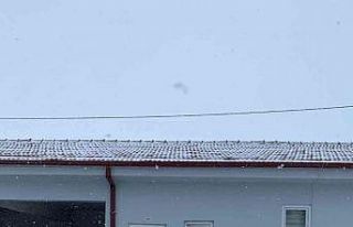 Oto hırsızları yakalandı