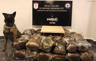 Otobüste 57 kilo 300 gram esrar ele geçirildi