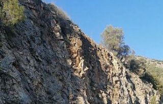 Otomobil ile kamyonet çarpıştı: 3 yaralı