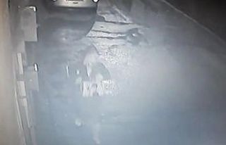 (Özel) Bursa’da laptop ve plak çalan hırsızın...