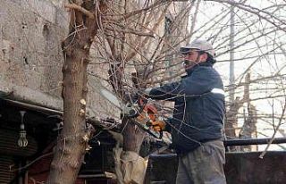 Parklar, refüjler, bulvarlar güzelleştiriliyor