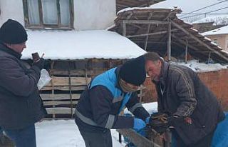 Pazarlar’da “Tavuk vebası” taraması