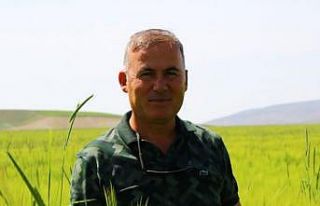 Polatlı’dan dünyaya yayılan şifa: Kuru soğan