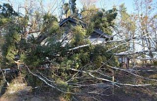 Polonya’yı “Eunice Kasırgası” vurdu: 2 ölü