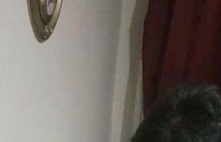 Rehin aldıkları 2 gencin ağzına silah dayayıp...