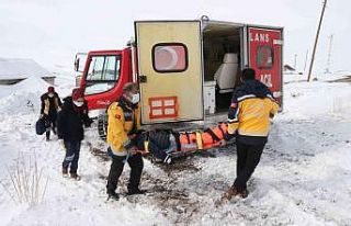 Sağlık ekipleri yolu ulaşıma kapanan köydeki...
