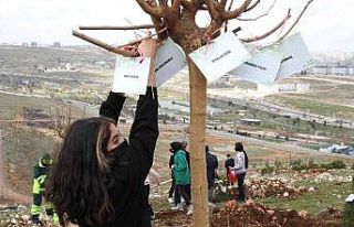 Şahinbey’de 26 bin ağaç dikilecek