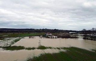 Sakarya’da tarım arazileri sular altında kaldı