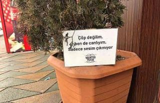 Saksılara atılan çöplere sitemli yazı