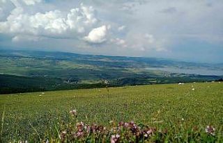 Samsun’da güneşten yıllık 73 milyon kilovatsaat...