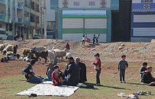 Şanlıurfa’da bahar havası yaşanıyor