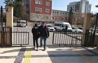 Şanlıurfa’da birçok sabıkası bulunan ve 6 hırsızlık...