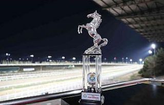 Şanlıurfa’da Haliliye Belediye Başkanlığı...