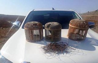 Şanlıurfa’da kaçak avcılara ceza yağdı