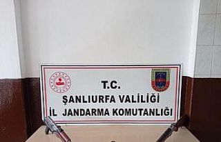 Şanlıurfa’da silah kaçakçılığı operasyonu