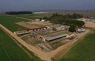 Saruhanlı Belediyesi yeni hayvan bakımevi inşa...