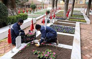 Şehit mezarlarına bakım yapıldı