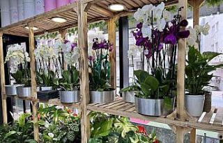 "Sevgililer Günü’nde en ucuz gül 30 TL’den...