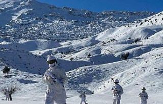 Siirt’te “Eren Kış-24" operasyonu başlatıldı