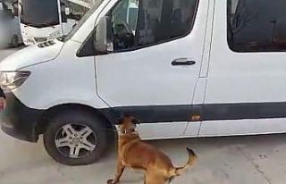 Siirt’te uyuşturucu operasyonunda 2 tutuklama