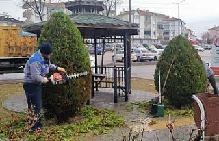 Sincan bahara hazırlanıyor