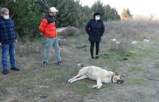 Site sakinleri belediyeden şikayetçi