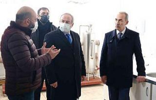 Sivas’ta ki aromatik bitkiler ekonomiye kazandırılacak