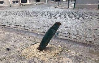 Sokak aralarında tehlikeli lobutlar