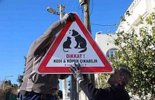 Sokak hayvanları için tabelalar Bodrum’un dört...