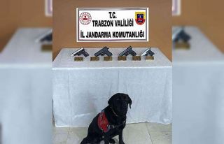 Sosyal medyalarında silahlı sevinç gösterilerini...