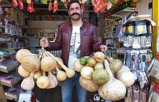 Su kabakları yok satıyor