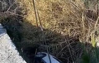 Sürücüsünün el frenini çekmeyi unuttuğu otomobil...