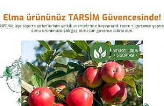 TARSİM: ’’Elma ürününüz TARSİM güvencesinde’’