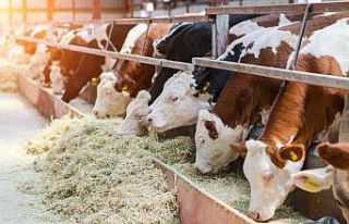 TARSİM: “Yetiştiricilere 2,5 milyar TL hasar ödemesi...