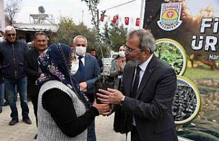 Tarsus Belediyesi, 24 mahallede üreticilere ücretsiz...