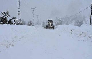 Tarsus Belediyesi karla mücadele ekipleri 10 gündür...