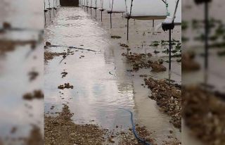 Taşan dereler, 55 dekar çilek serasını sular altında...
