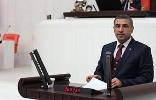 Taşdoğan TBMM’de Gaziantep’i konuştu