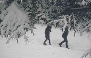 Tatvan’da kar yeniden etkisini gösterdi