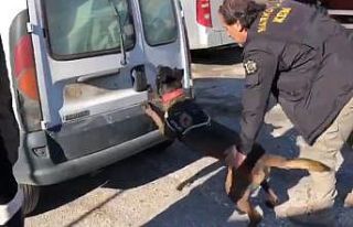 TEM’de durdurulan araçta 115 kilogram uyuşturucu...