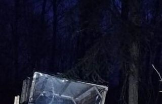 Tescilsiz tarım aletine yüklediği ağaçlarla yakalandı